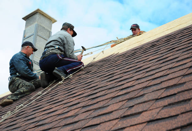 Quick and Trustworthy Emergency Roof Repair Services in Argo, AL